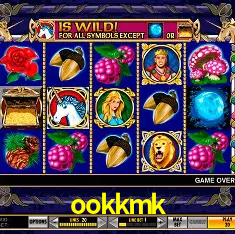 ookkmk Curitiba - Live Status